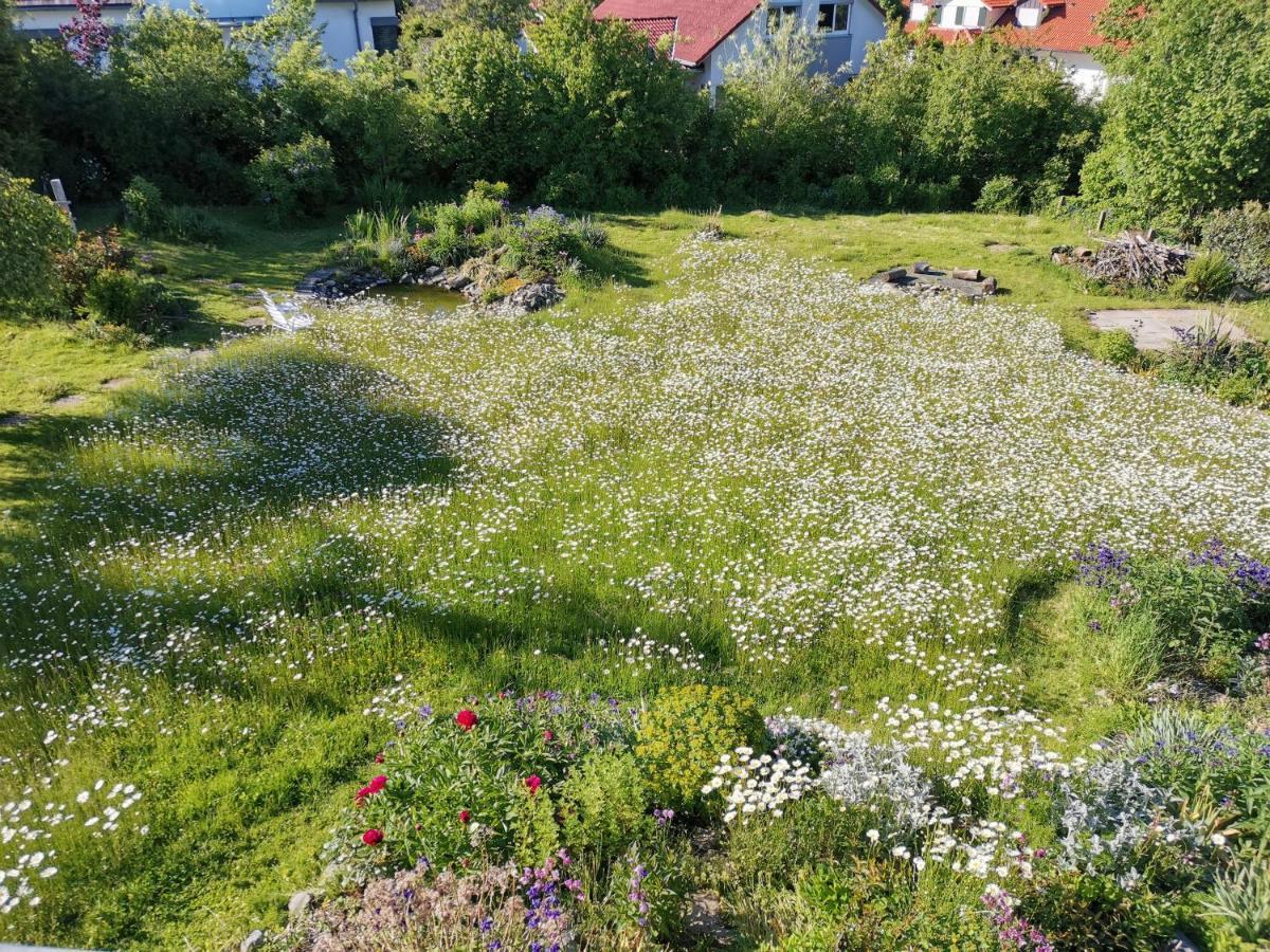 Moderne Gartenblick