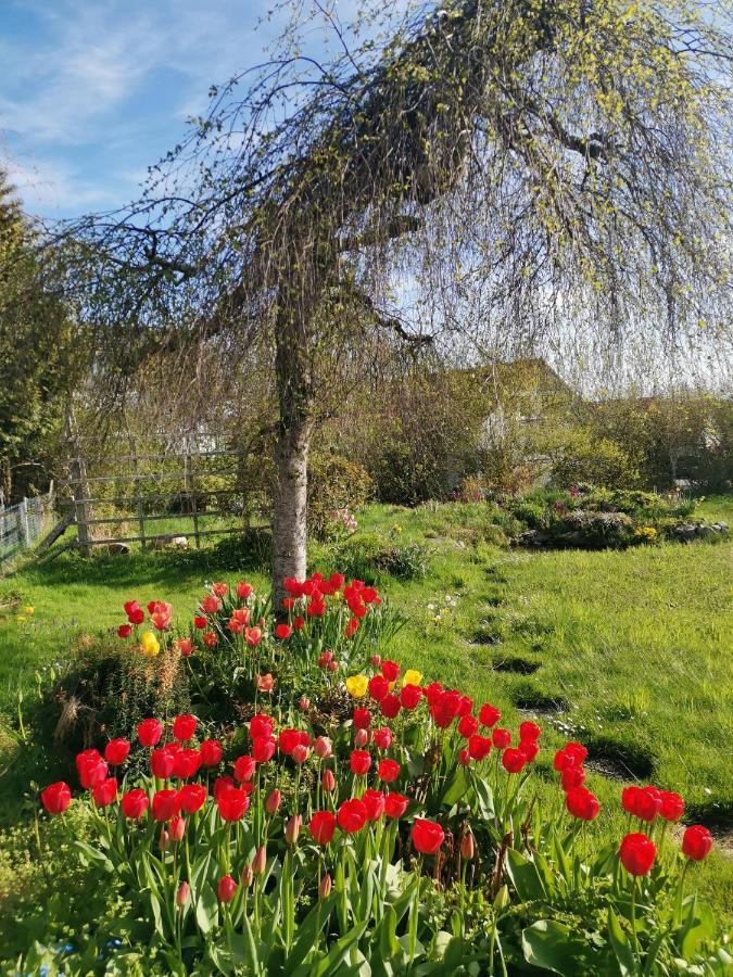 Moderne Gartenblick Апартаменты